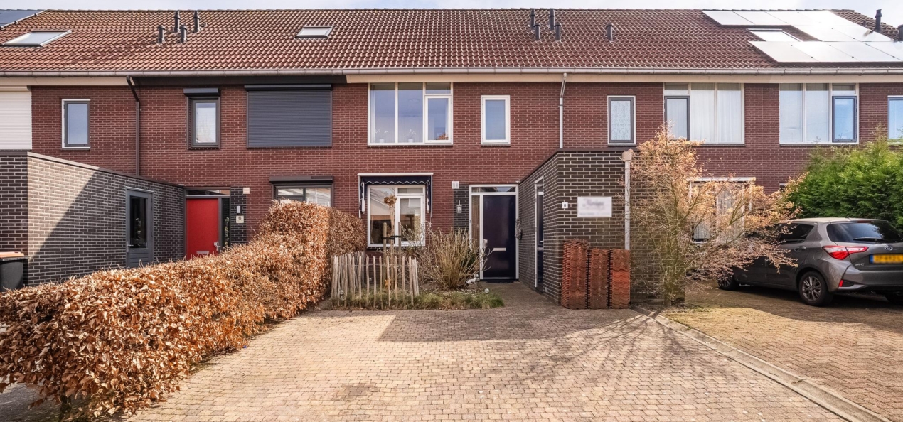 Hoofdafbeelding voor Terras 8