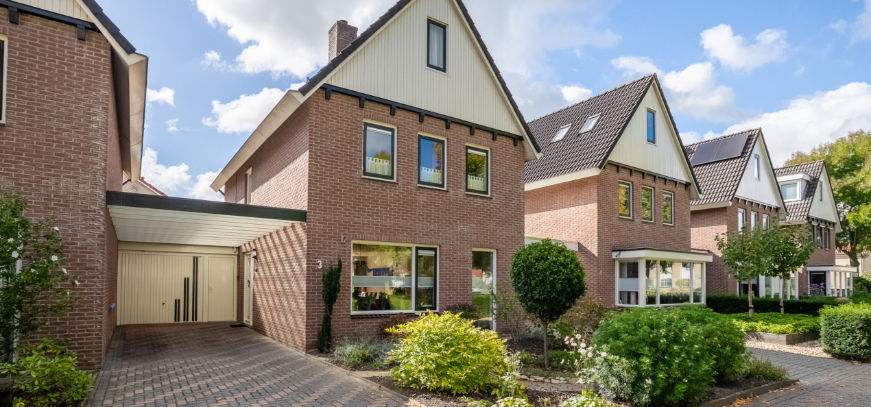 Hoofdafbeelding voor De Notenkraker 3